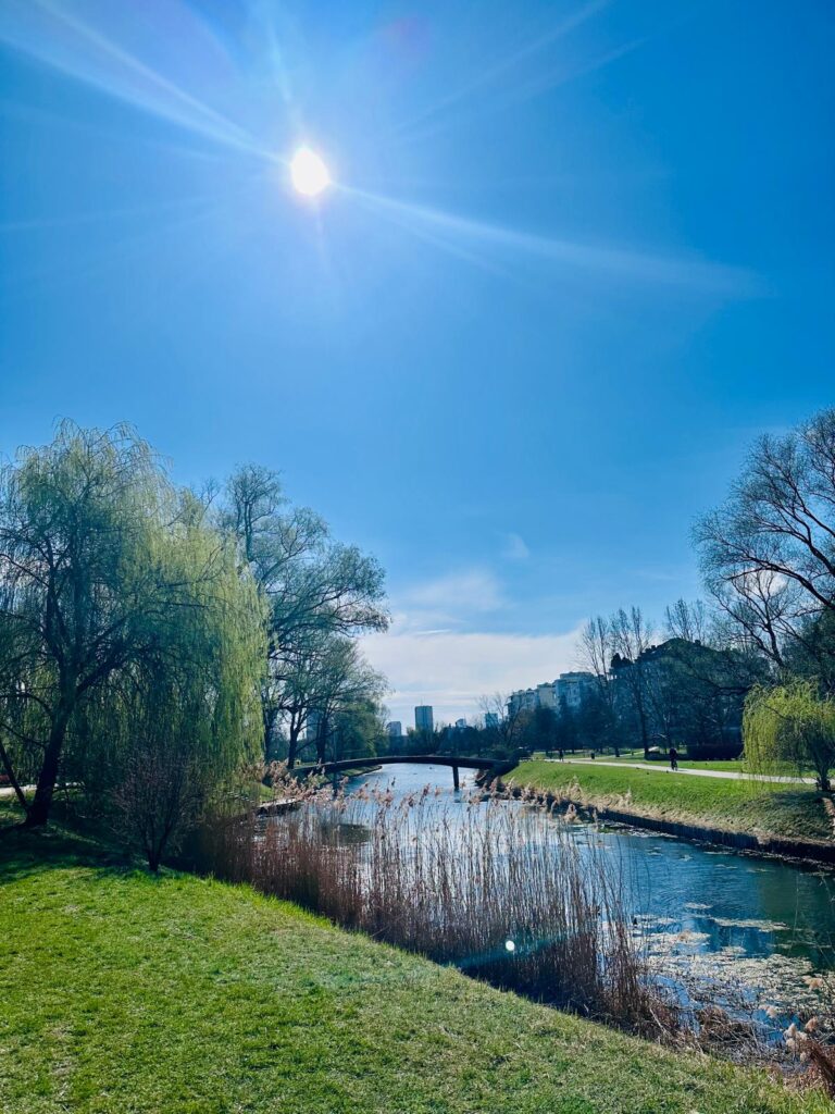 Wiosna nie pyta, czy jesteś gotowa/y. Po prostu przychodzi 🐝